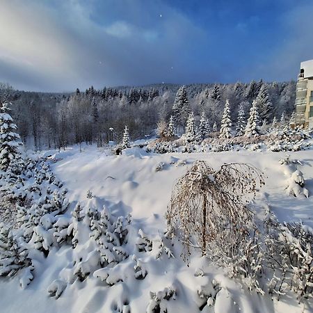 Apartamenty Biala Sowa Czarna Gora Sienna  Bagian luar foto