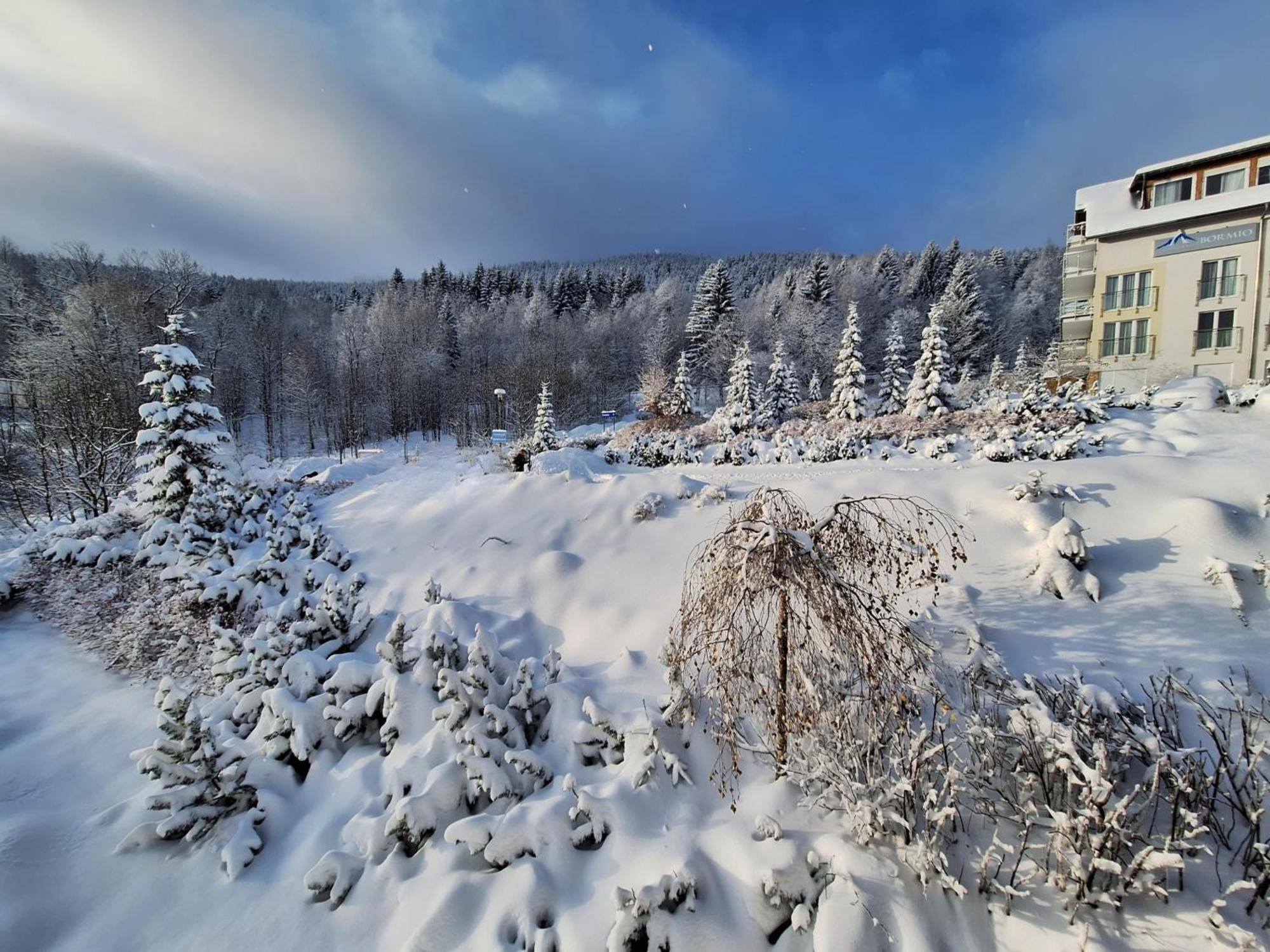Apartamenty Biala Sowa Czarna Gora Sienna  Bagian luar foto